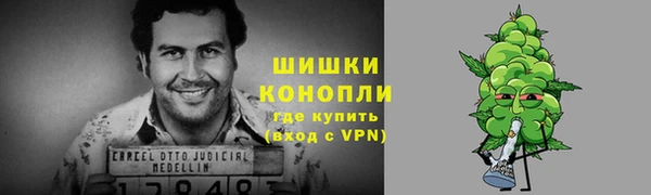 мдпв Бердск
