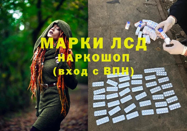 spice Медвежьегорск
